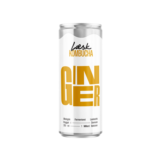 Læsk Ingefær Kombucha