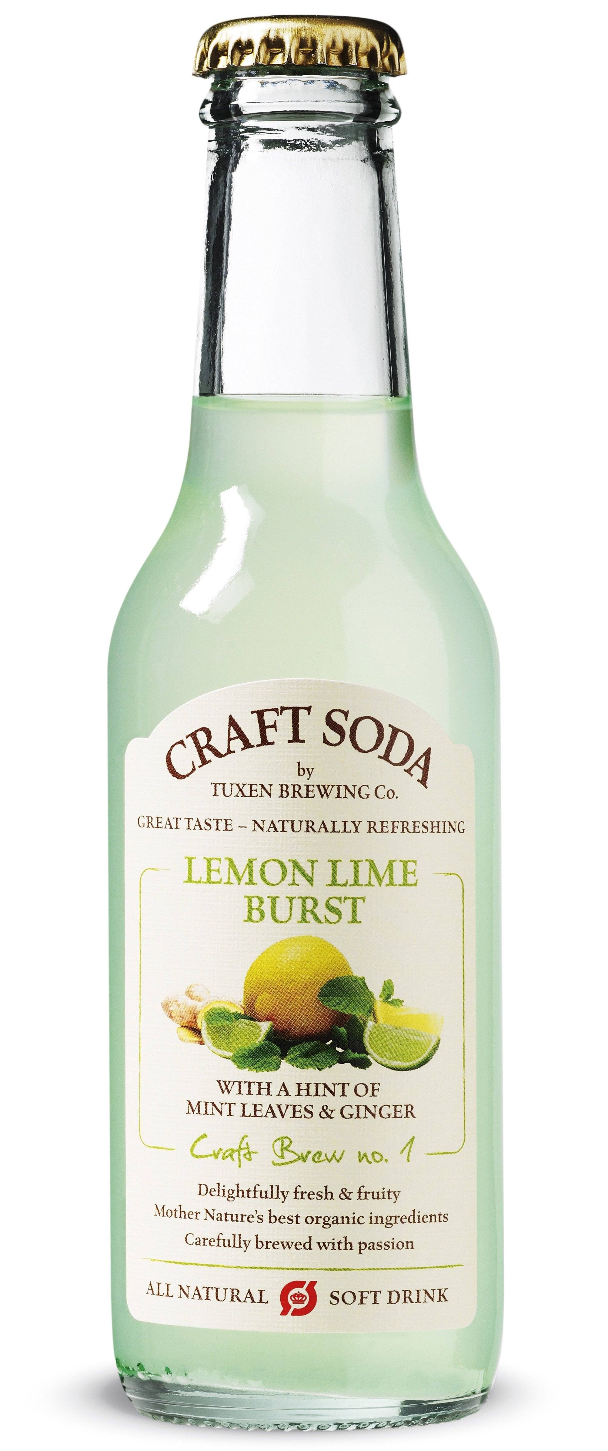 Craft Soda Lemon Lime Burst 24x20 cl. ØKO