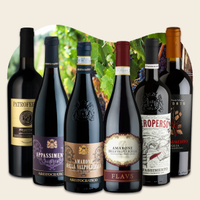 Amarone & Appassimento