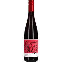 Croquis Pinot Noir 2024