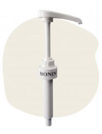 Monin Pumpe