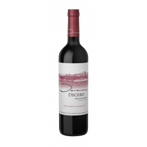 Finca Decero Remolinos Vineyards Cabernet Sauvignon 2018 14,5% 1,5 L.